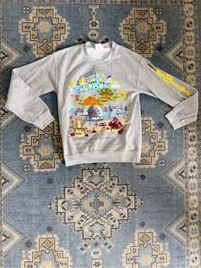 Disney World Sweatshirt